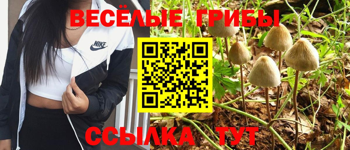 Красногорск  Псилоцибиновые грибы MAGIC MUSHROOMS  Вход с VPN 